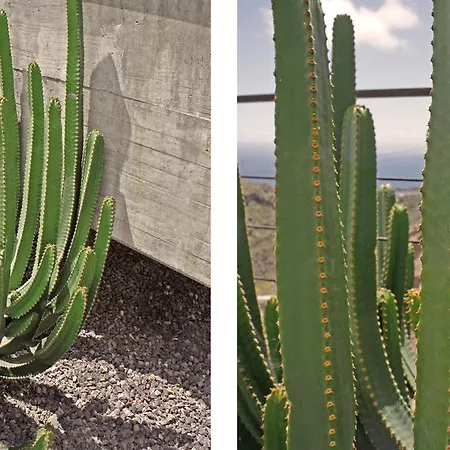 펜션 Gallery Tenerife